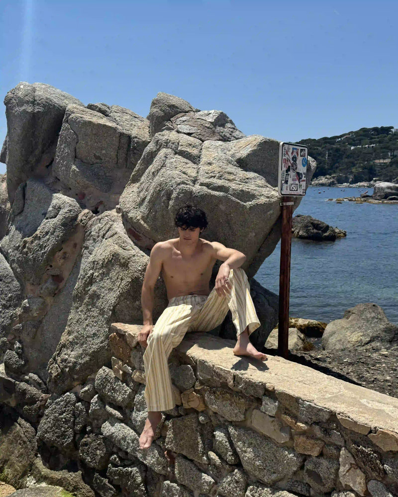 Brava Carpenter Pants