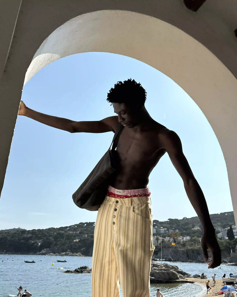 Brava Carpenter Pants